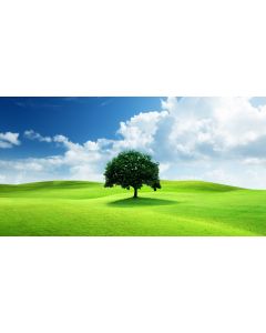 test11