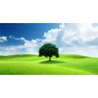 test11